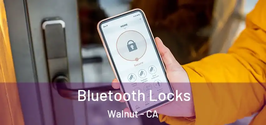  Bluetooth Locks Walnut - CA