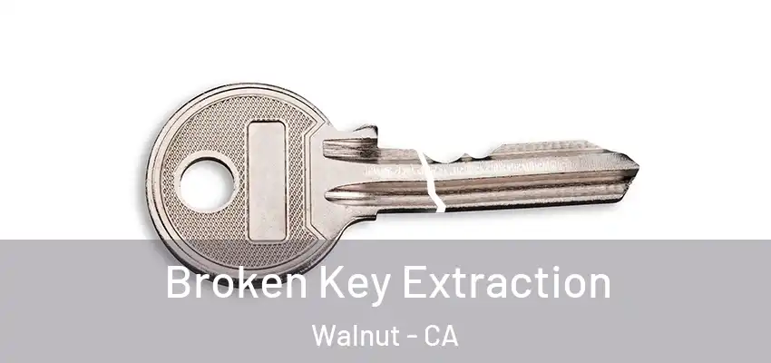  Broken Key Extraction Walnut - CA
