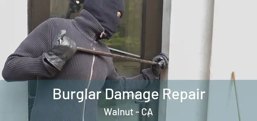  Burglar Damage Repair Walnut - CA