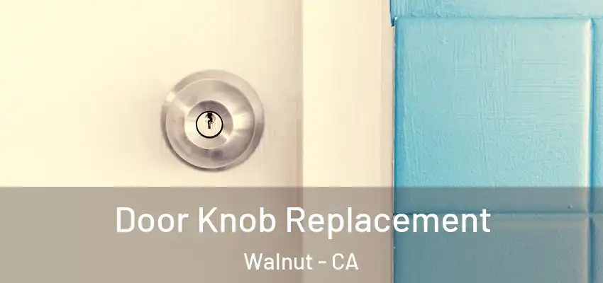  Door Knob Replacement Walnut - CA