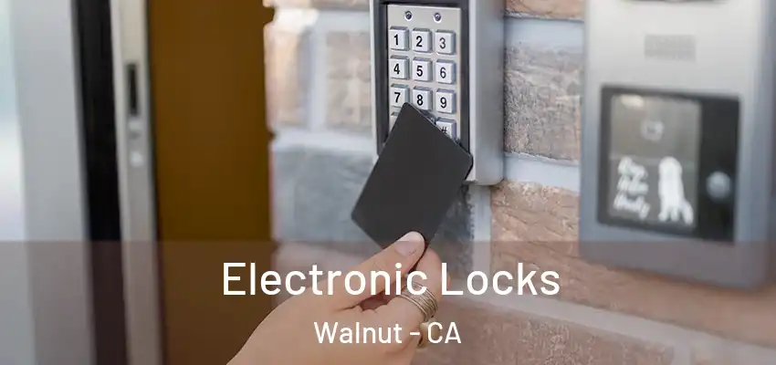  Electronic Locks Walnut - CA