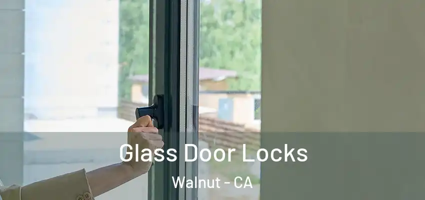  Glass Door Locks Walnut - CA