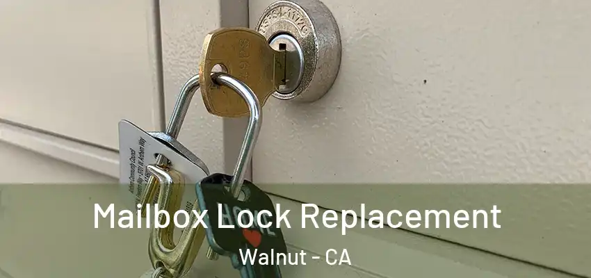  Mailbox Lock Replacement Walnut - CA